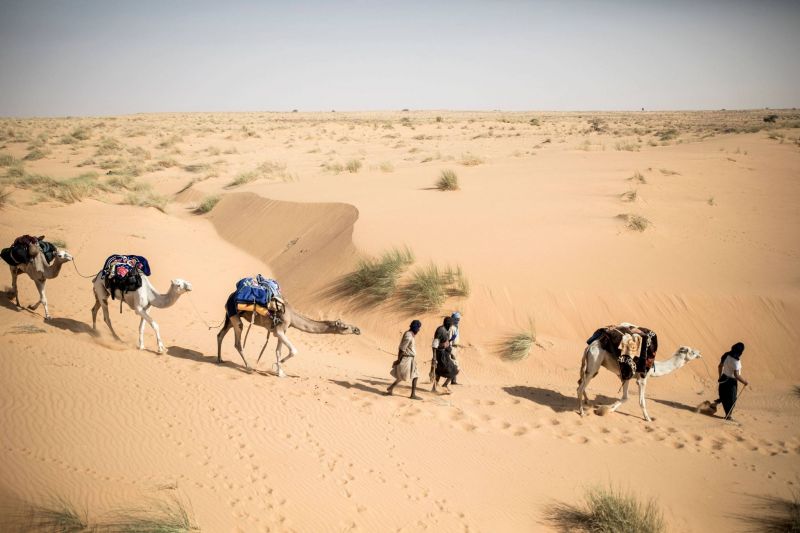 Tichitt, joyau du désert mauritanien qui sombre Tichitt, joyau du désert mauritanien qui sombre