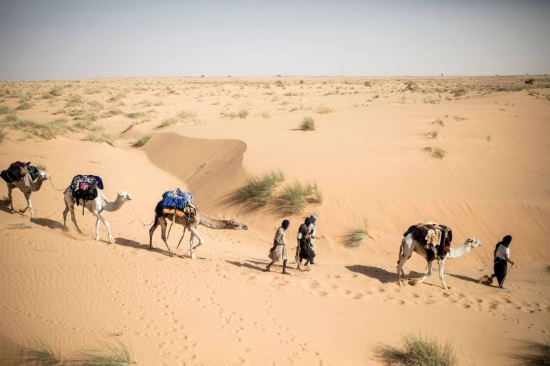 Tichitt, joyau du désert mauritanien qui sombre