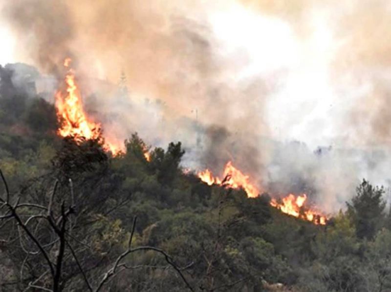 Les forêts du Akkar brûlent depuis des jours dans l’indifférence totale