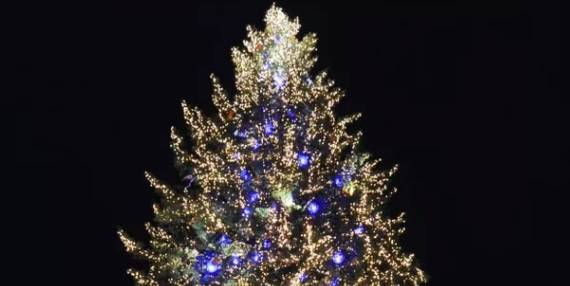 Un maire écologiste veut en finir avec le sapin illuminé de Noël, critiques à droite