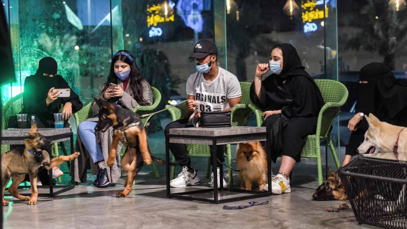Un premier café accueillant les chiens ouvre ses portes Un premier café accueillant les chiens ouvre ses portes