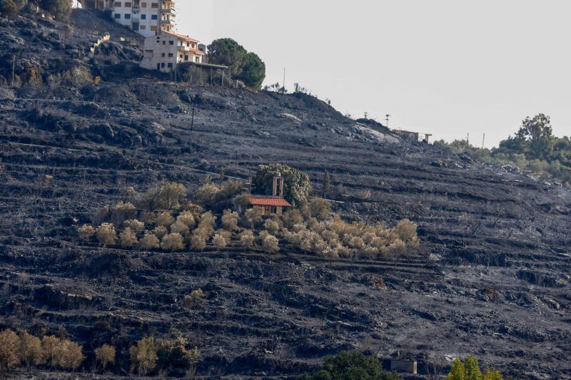 Incendies en Syrie : Assad et Makhlouf jouent la surenchère dans les fiefs alaouites