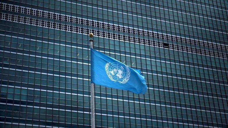 La France a des responsabilités vis-à-vis des enfants détenus en Syrie, affirme l'ONU