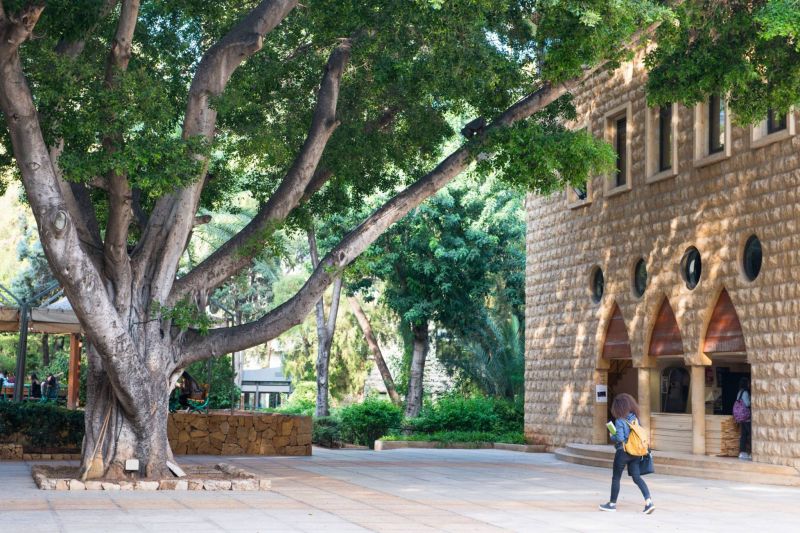 Au Liban, les universités privées en mode survie