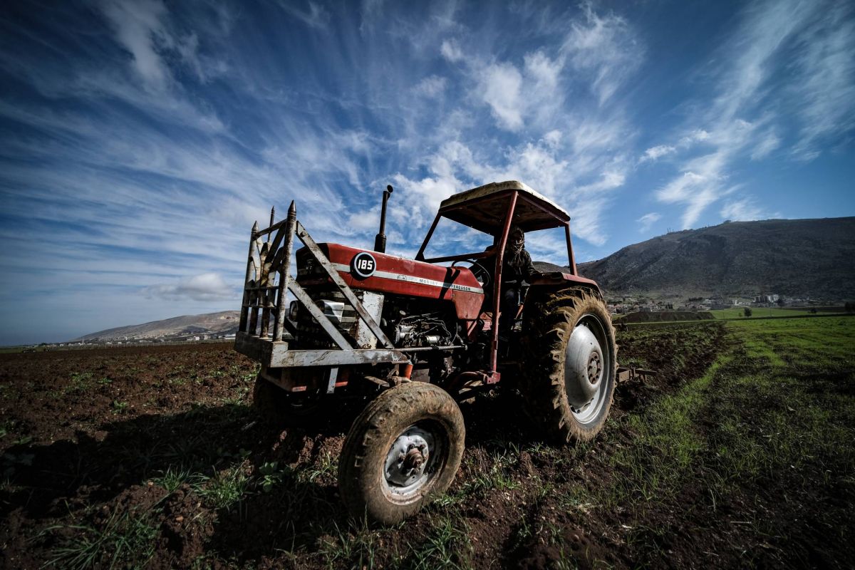 Lebanon’s domestic agricultural production is faltering, even though import subsidies may be close to an end Lebanon’s domestic agricultural production is faltering, even though import subsidies may be close to an end