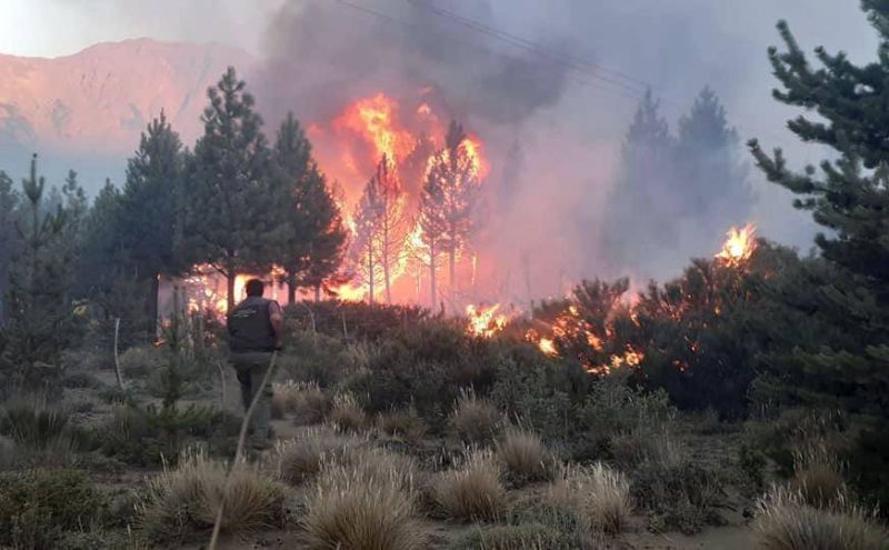 L'incendie en Patagonie continue sa progression