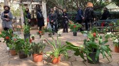 Des plantes installées par les proches de Lokman Slim dans la cour de la villa familiale à Haret Hreik, le 6 février 2021 lors des condoléances. Photo Lyana Alameddine