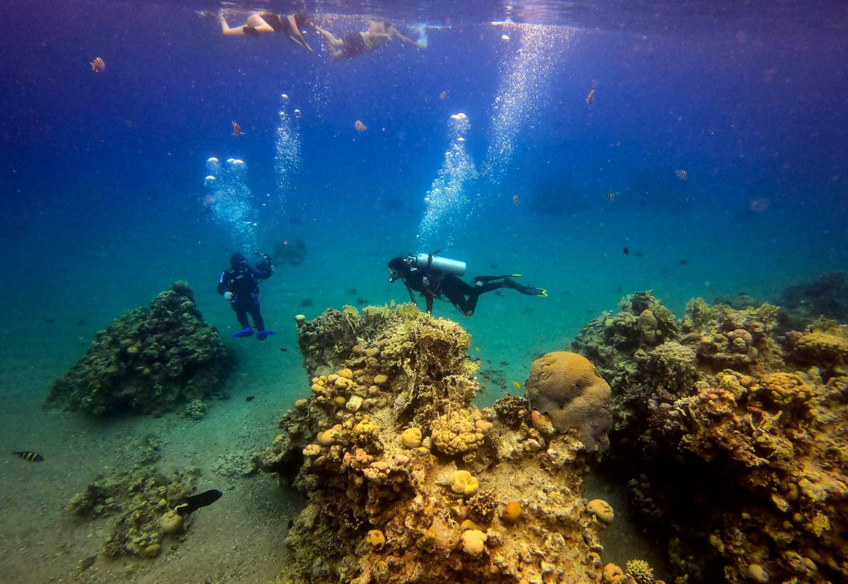 En Israël, les écosystèmes marins menacés par un accord pétrolier avec les Émirats