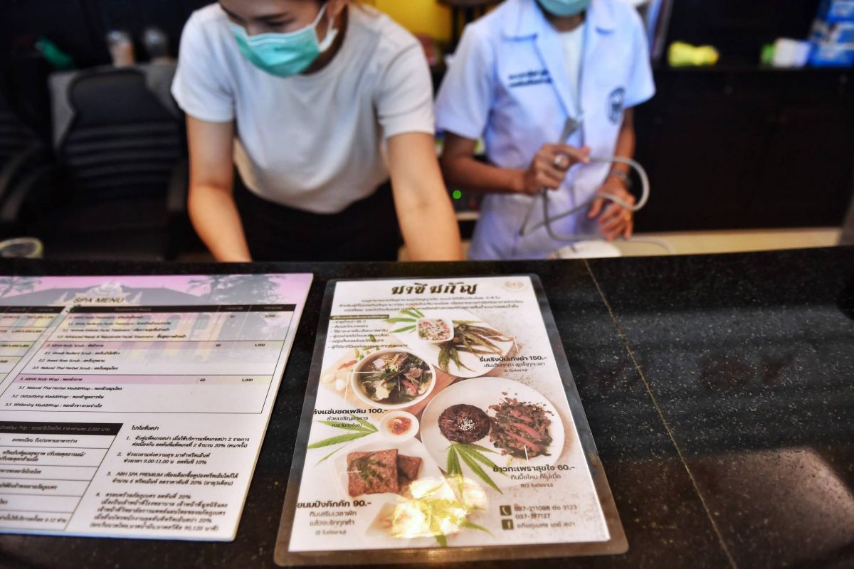 En Thaïlande, le cannabis revient dans les assiettes...