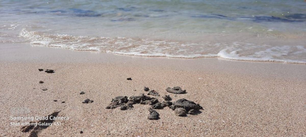 Marée noire au Sud : les plages sous surveillance