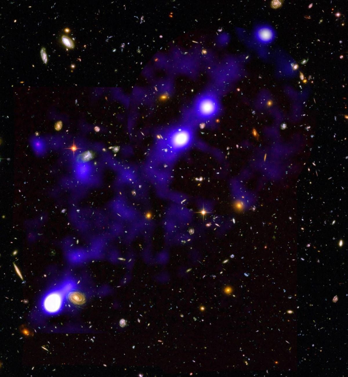 Une toile cosmique tissée aux fins fonds de l’Univers