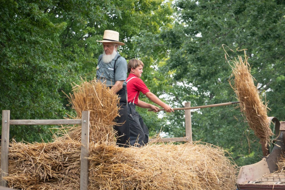 La culture amish, championne de l’immunité collective