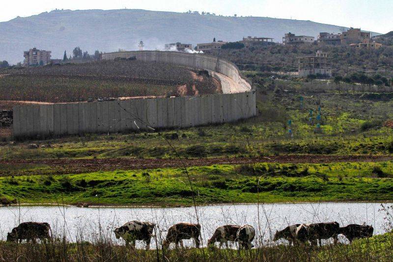 Les fermes de Chebaa, un litige libano... syrien