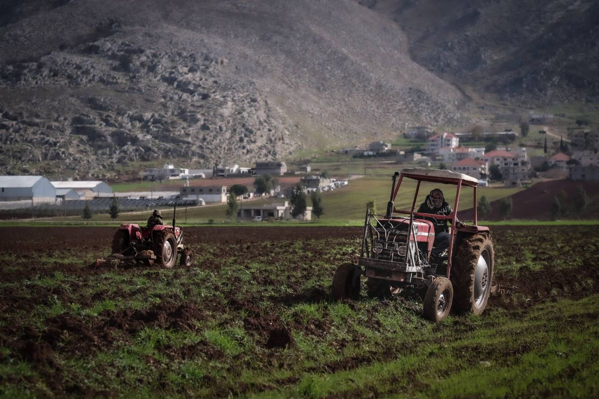 Lebanon asks Saudi Arabia to reconsider ban on its produce Lebanon asks Saudi Arabia to reconsider ban on its produce