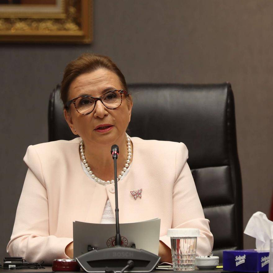 Accusée de népotisme, la ministre du Commerce limogée