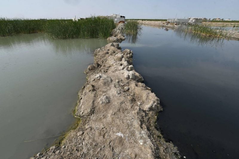 Dans les marais de Mésopotamie coulent... les égouts d’Irak