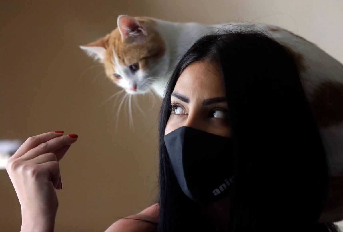 Au Liban, la crise oblige aussi à se séparer de son animal domestique
