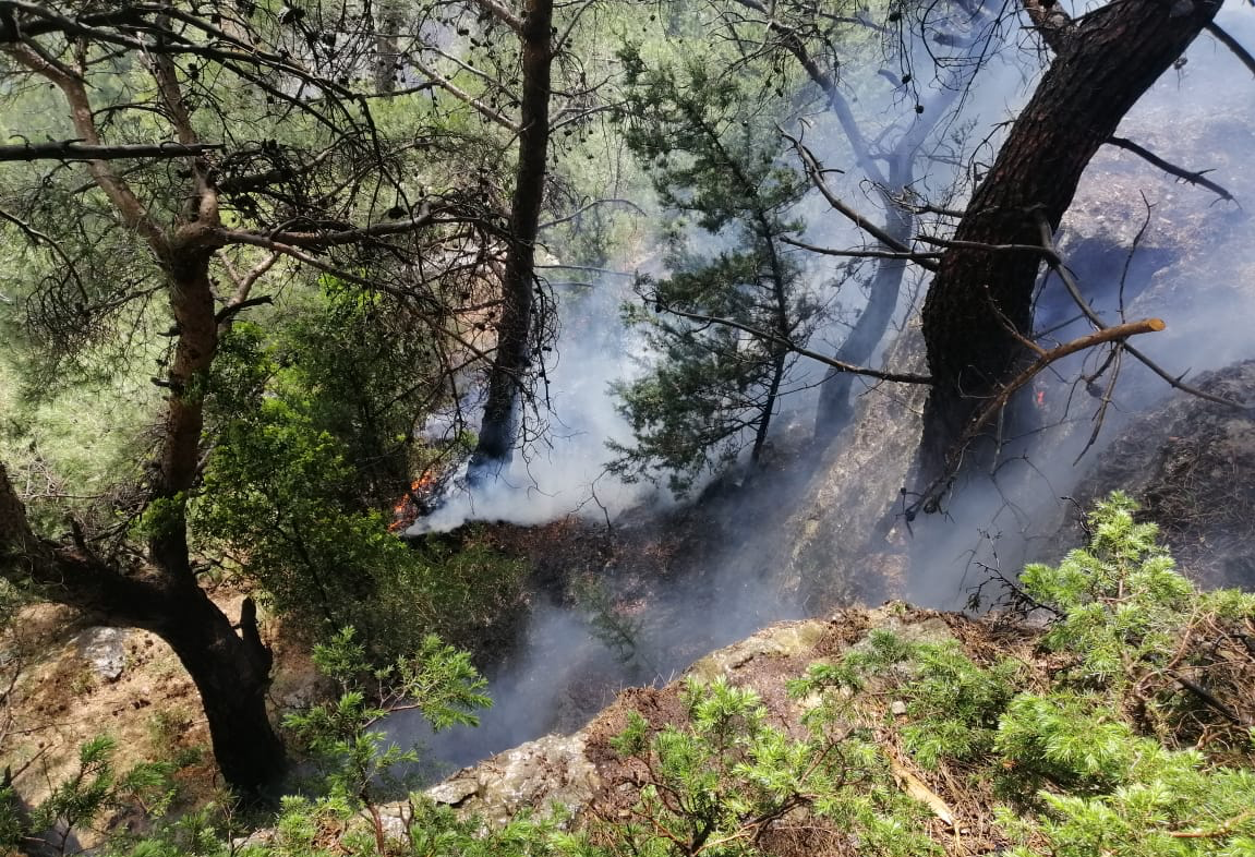 La Défense civile tente de venir à bout d'un incendie dans la région de Denniyé