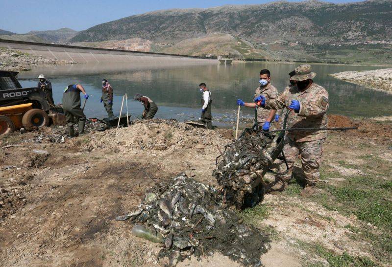 Deux cents tonnes de poissons morts évacuées du lac Qaraoun ces deux dernières semaines