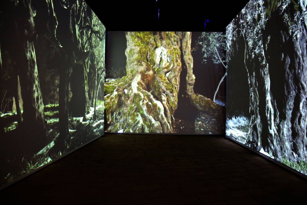 La scénographie du Pavillon libanais dévoilée au grand public