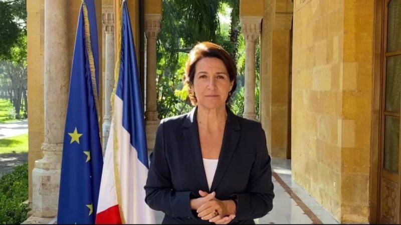 Grillo insiste sur la fraternité entre la France et le Liban
