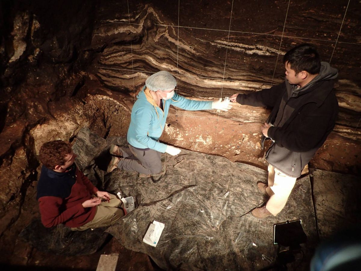 Denisova, Néandertal, Sapiens : trois espèces, trois ADN, une seule grotte