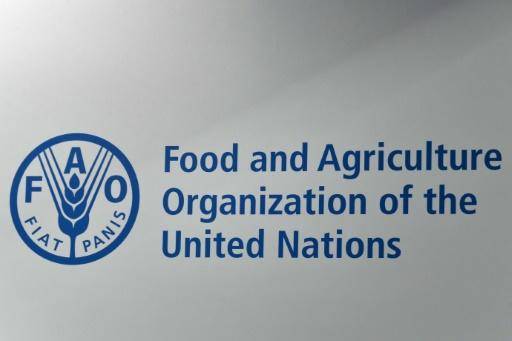 Le Covid-19 menace d'aggraver durablement la faim dans le monde, avertit la FAO