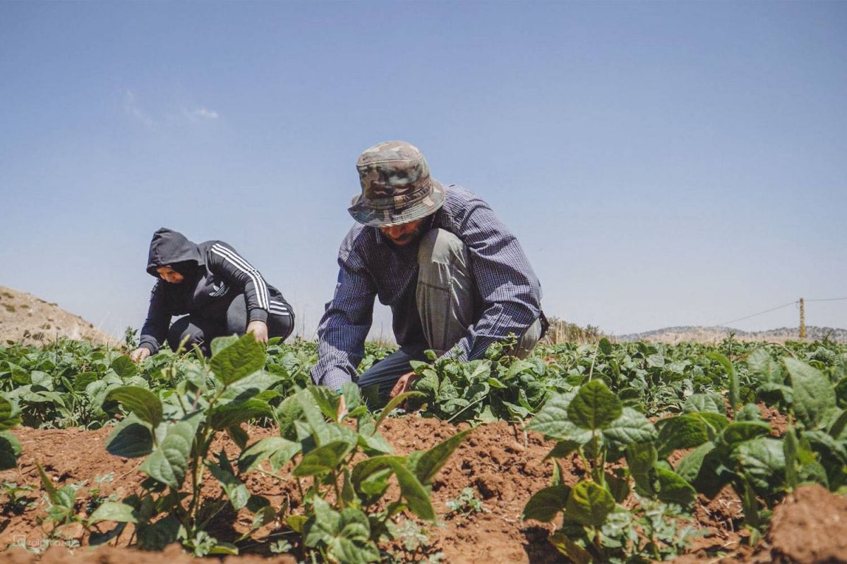 Un programme de l’ONU et de l’UE pour une agriculture responsable Un programme de l’ONU et de l’UE pour une agriculture responsable