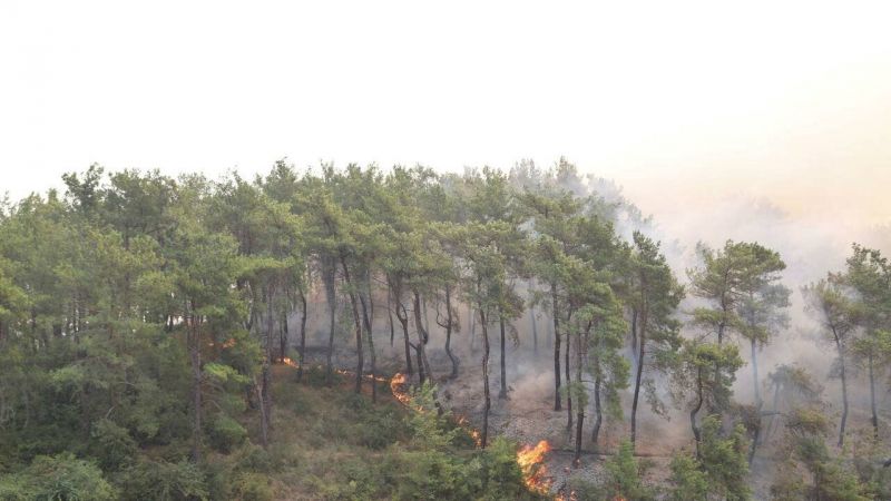 Quatrième jour de lutte contre les feux de forêt Quatrième jour de lutte contre les feux de forêt