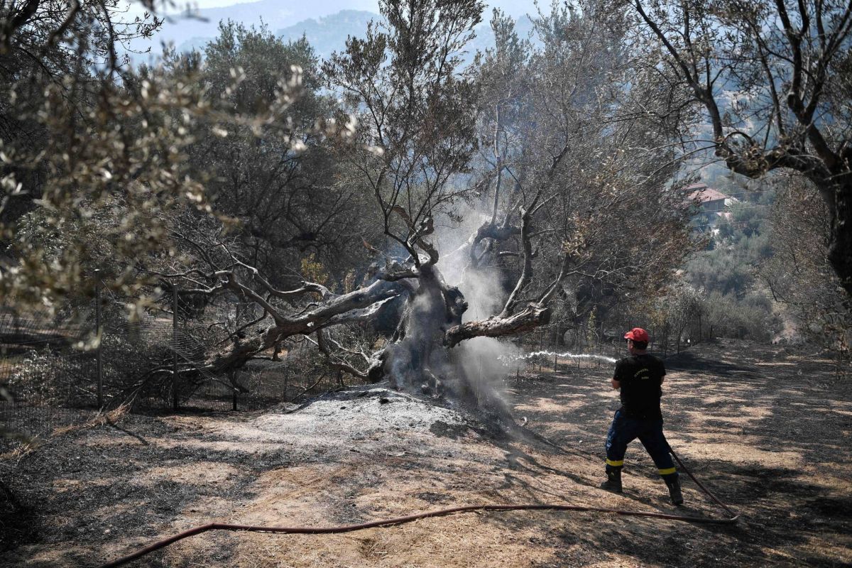 Les incendies font rage dans le sud de l'Europe, villageois et touristes évacués