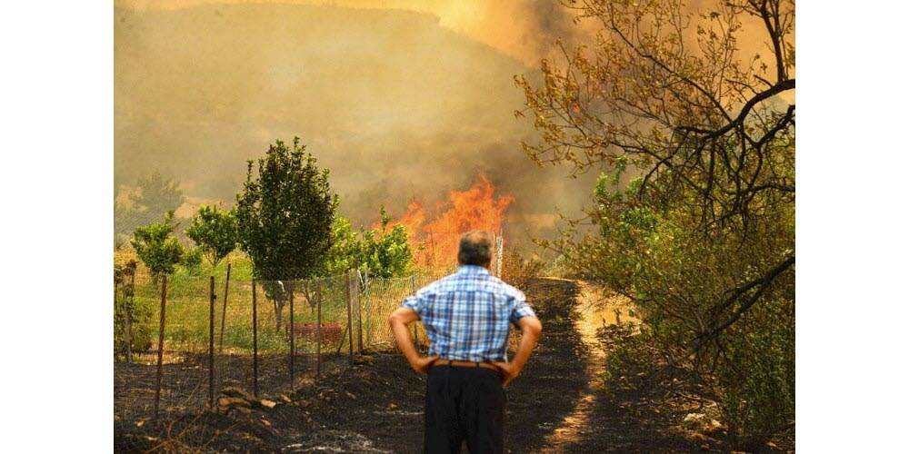 La majorité des feux de forêt ravageant le sud du pays maîtrisés