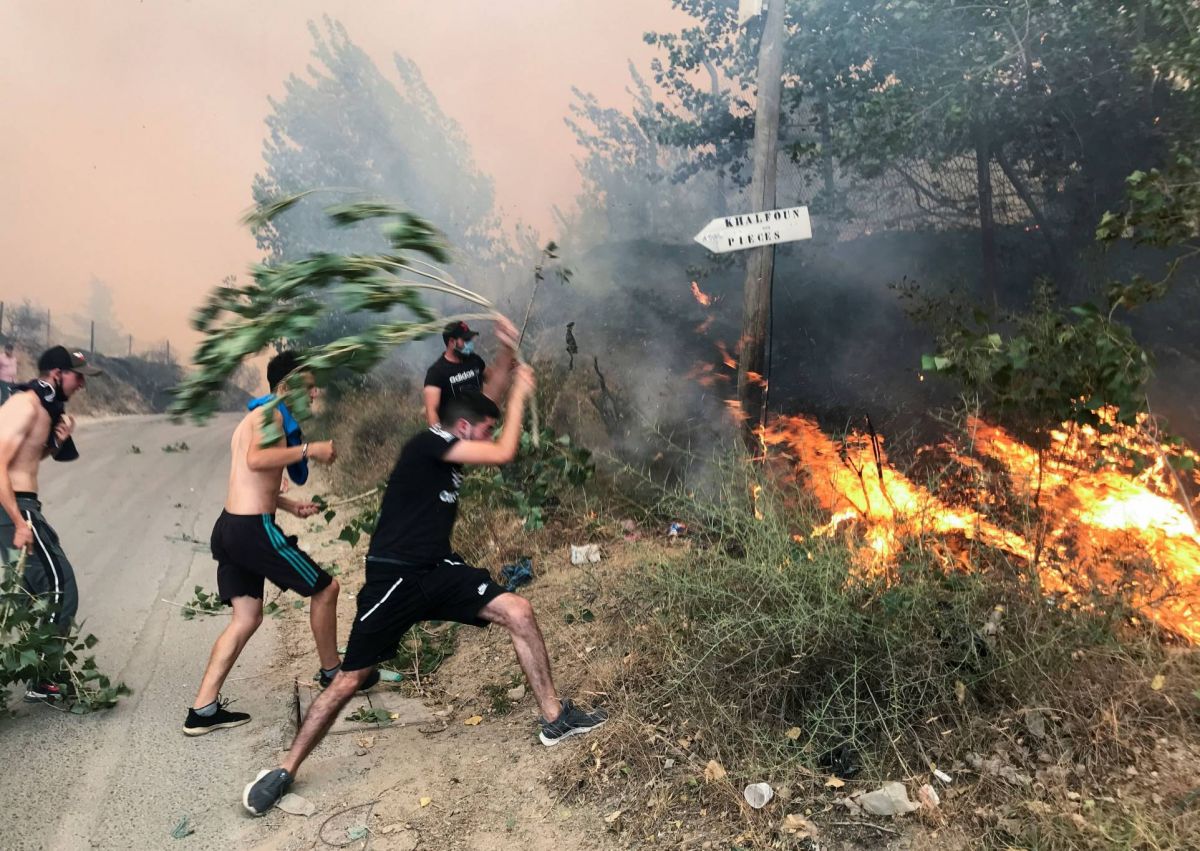 Pompiers, militaires et civils en lutte contre la course folle d’incendies meurtriers en Algérie