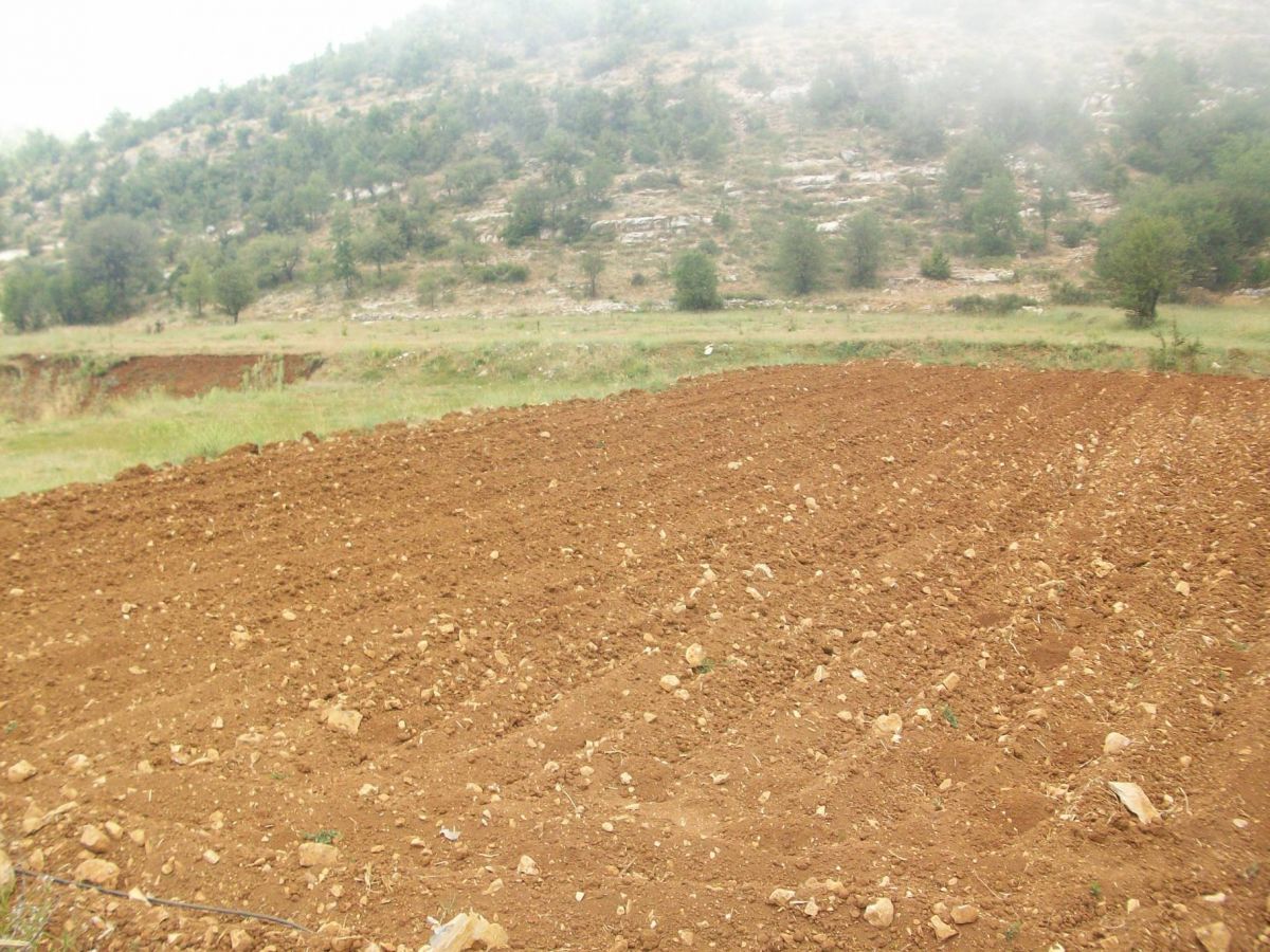 L’irrigation des cultures menacée