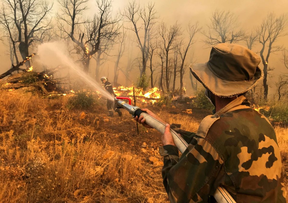 Endeuillée, l’Algérie toujours en guerre contre les incendies ravageurs