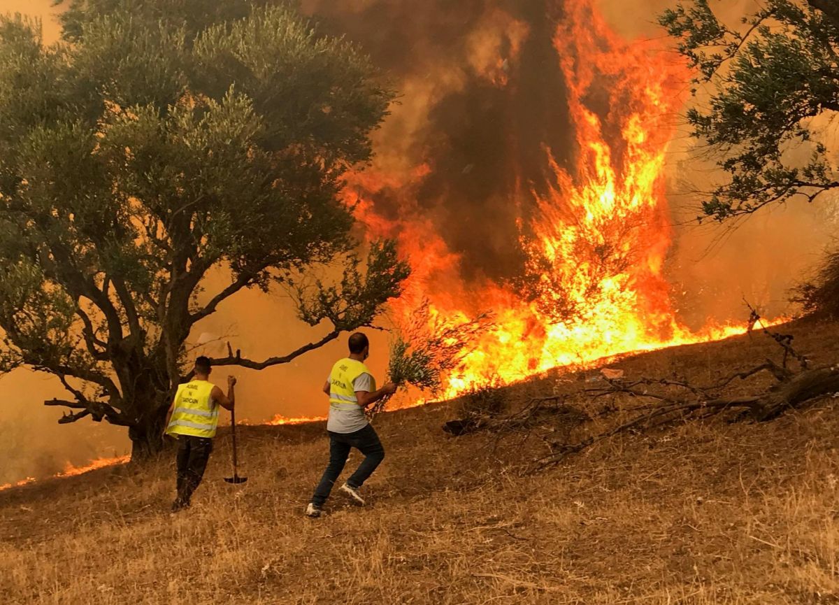 La majorité des incendies maîtrisés, une population sous le choc