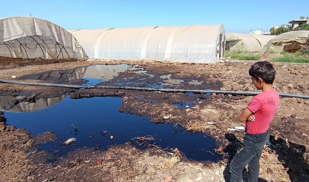 Des terres agricoles inondées de pétrole suite à une fuite dans un oléoduc passant par la Syrie