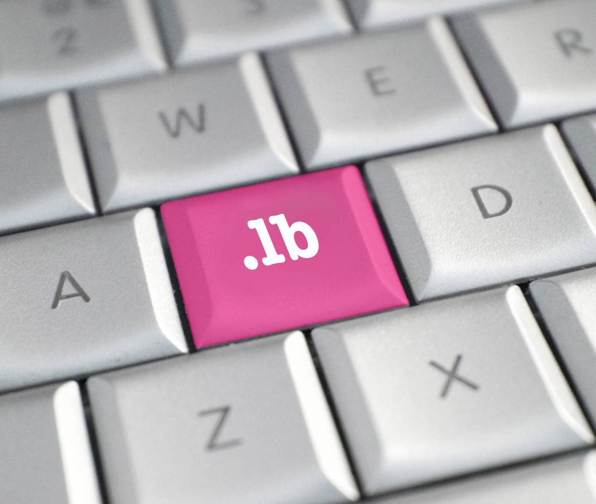 Domaines « .lb » : comment l’internet libanais a failli disparaître de la Toile Domaines « .lb » : comment l’internet libanais a failli disparaître de la Toile