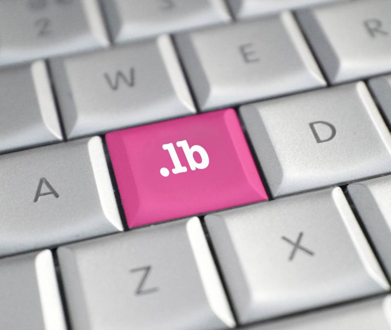 Domaines « .lb » : comment l’internet libanais a failli disparaître de la Toile