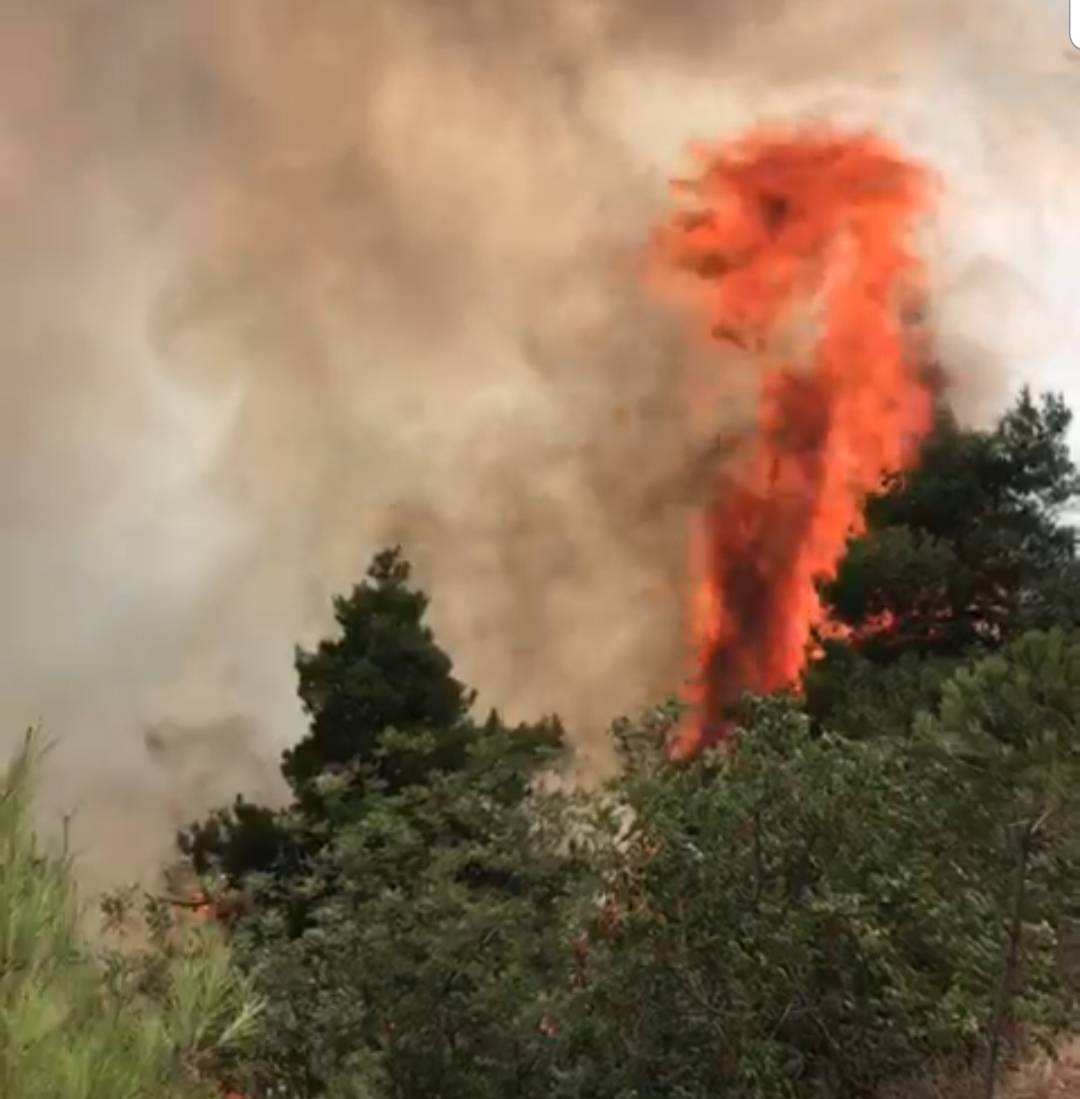 Un incendie se déclare aux abords du village de Aandqet dans le Akkar