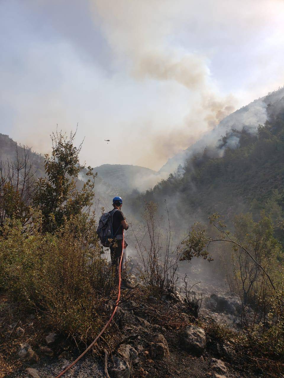Plusieurs incendies ravagent des espaces verts dans le Nord