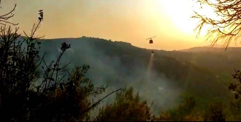 Près de 2.600 hectares de forêts brûlés dans le Akkar cette année