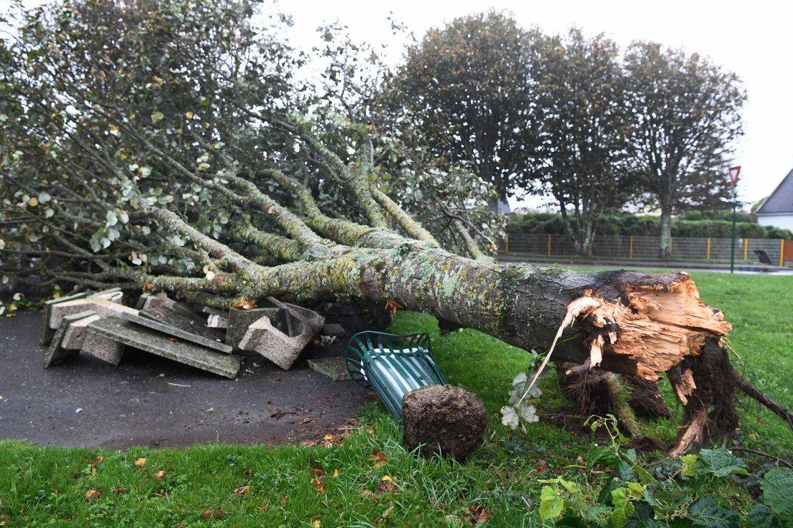 Tempête Aurore : 120.000 foyers privés d'électricité en France, perturbations en Allemagne