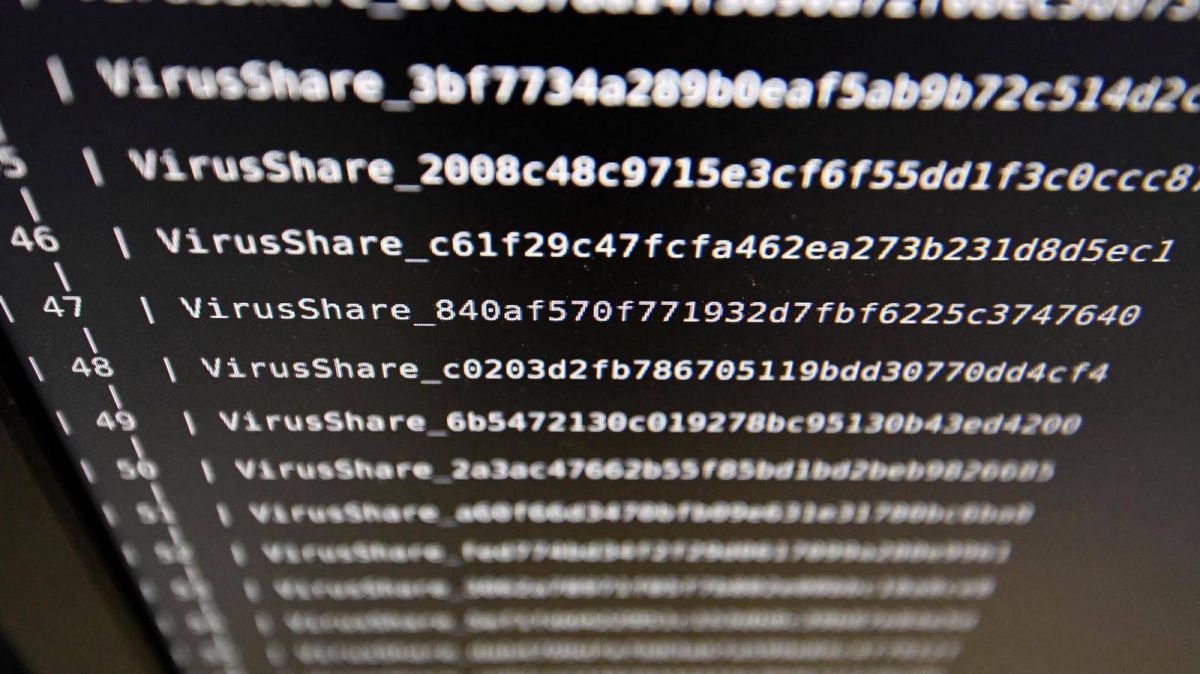 Cyberattaque de hackers iraniens contre un site d'hébergement israélien