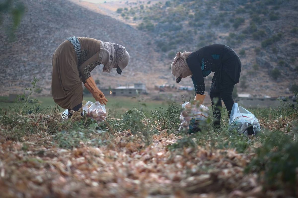 Agriculture minister outlines new cooperation agreement with Jordan Agriculture minister outlines new cooperation agreement with Jordan