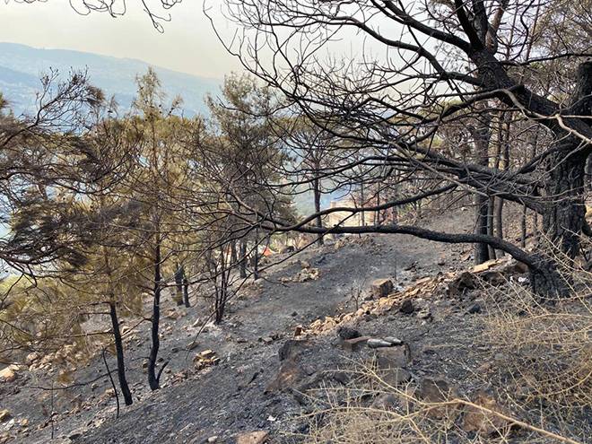 À Beit Méry, au lendemain d’un week-end infernal