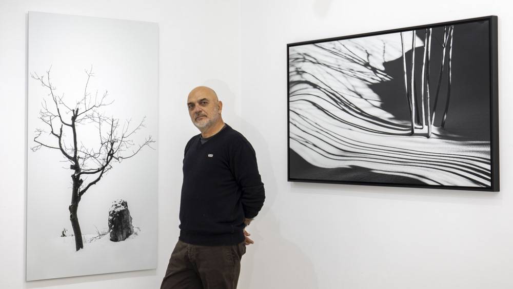 Traverser l’œuvre de Marc Chalhoub, c’est écouter les arbres parler Traverser l’œuvre de Marc Chalhoub, c’est écouter les arbres parler