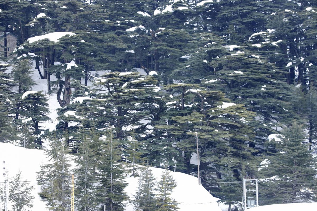 À l’approche des fêtes, le Liban peine à attirer les touristes À l’approche des fêtes, le Liban peine à attirer les touristes