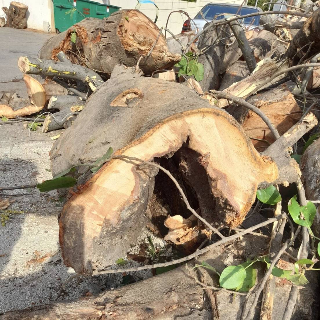 Massacre à la tronçonneuse devant le Palais de justice de Beyrouth