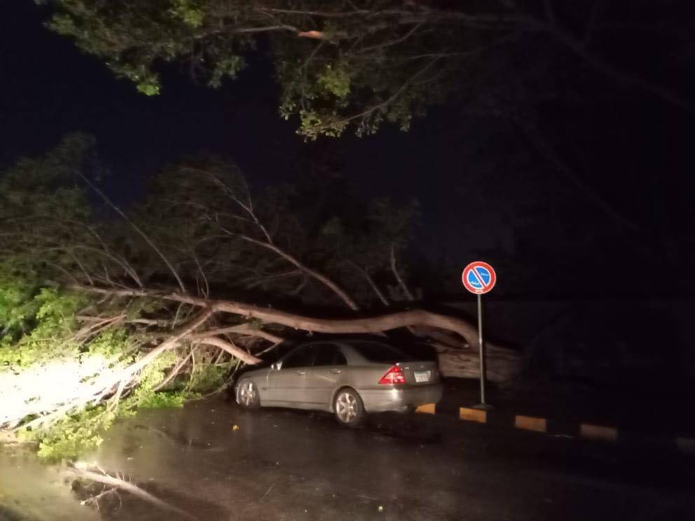Des dégâts dans le Nord après les intempéries