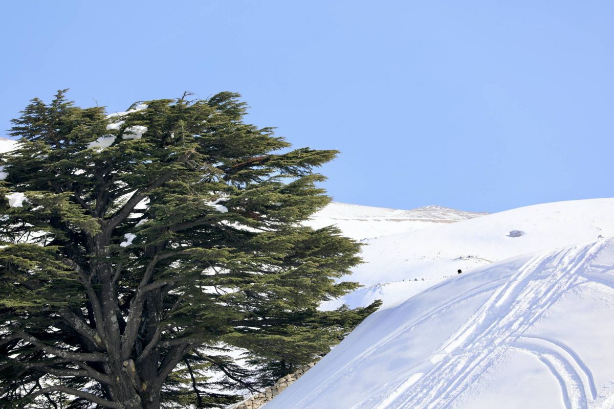 Les tarifs dans les stations de ski en livres libanaises uniquement, rappelle le ministère du Tourisme Les tarifs dans les stations de ski en livres libanaises uniquement, rappelle le ministère du Tourisme